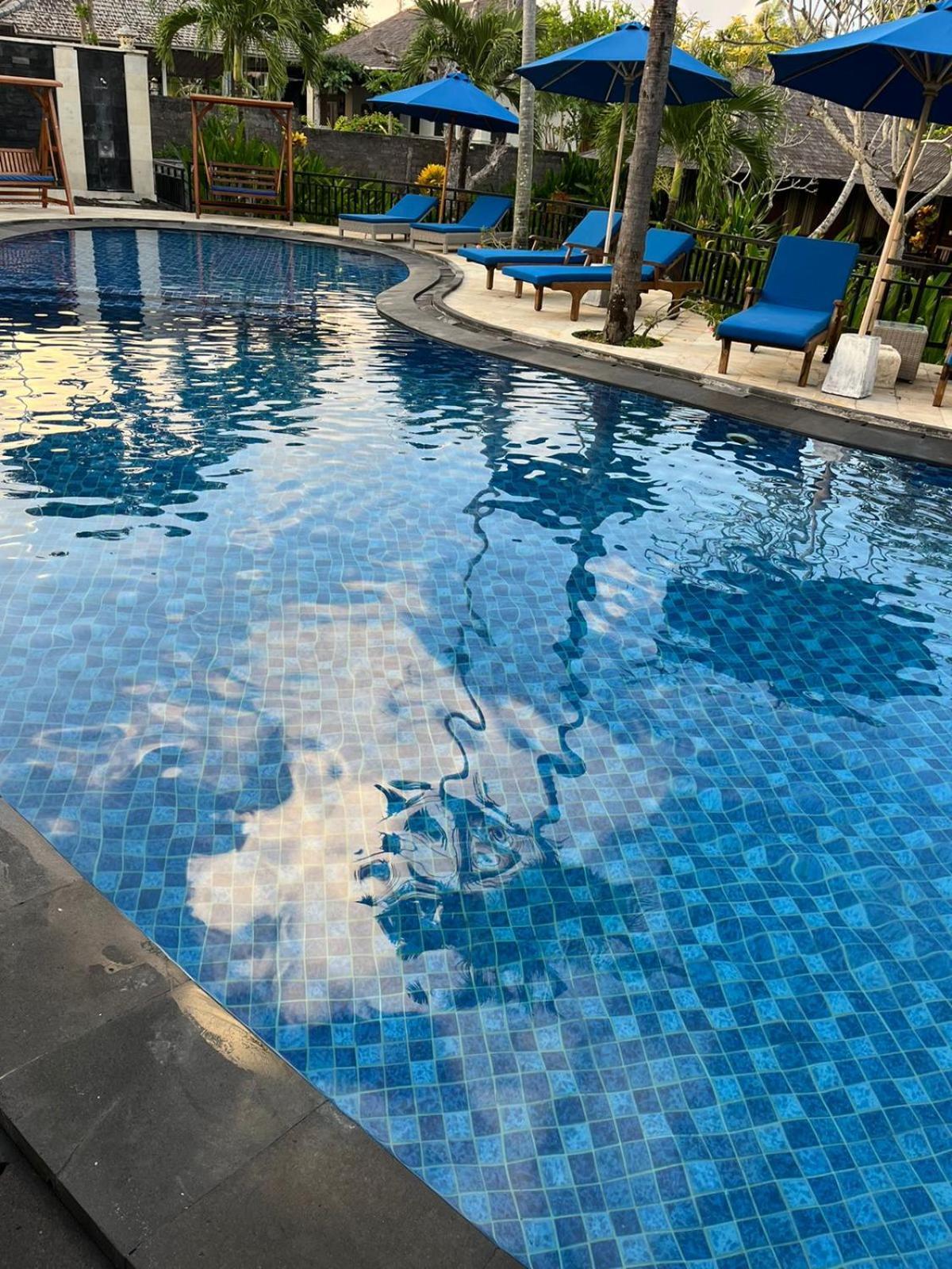 Balangan Surf Resort Jimbaran  Ngoại thất bức ảnh